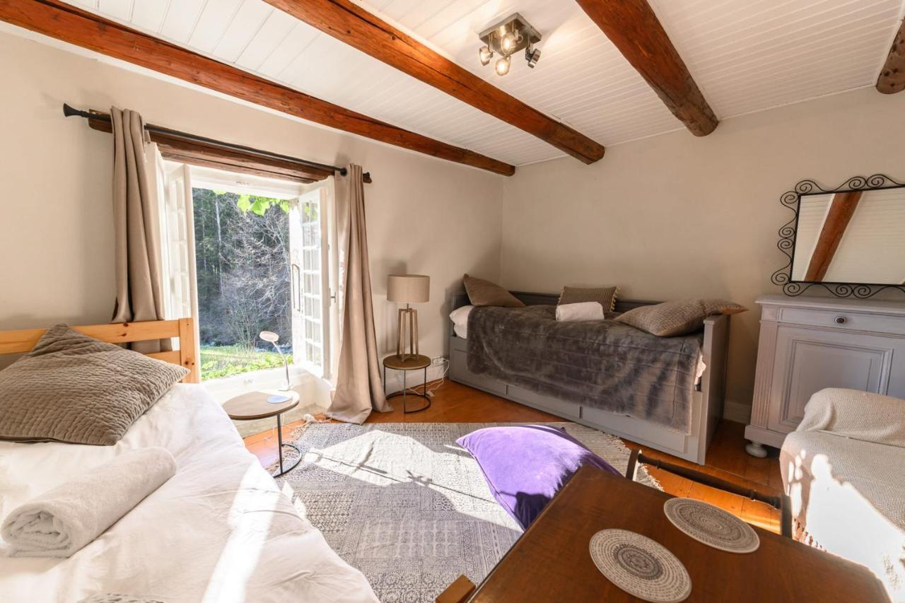 Le Moulin De Dingy - House With 6 Bedrooms & Swimmingpool 20 Mn From Annecy Esterno foto